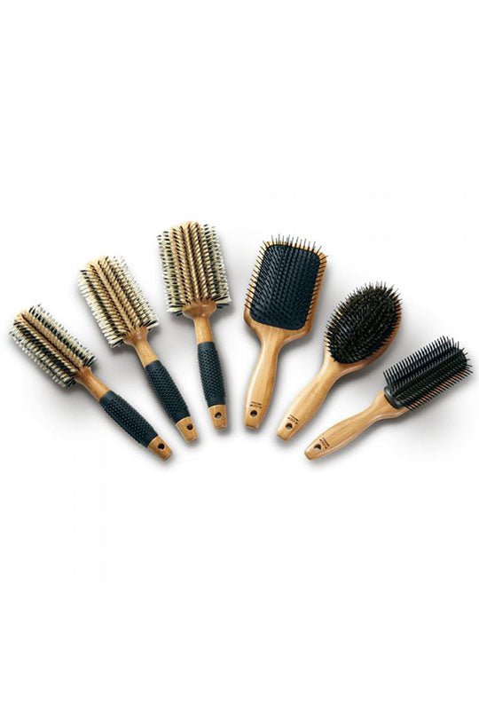 Signature Series Deluxe 6 Piece Brush Set with Case Sam Villa